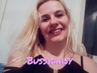 Bussydaisy