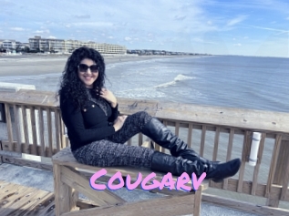 Cougarv