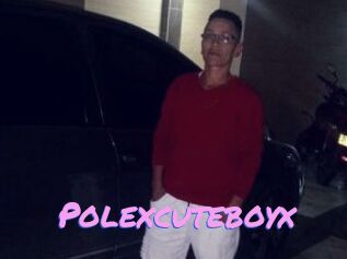 Polexcuteboyx